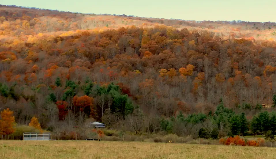 Why Rural Connected Health Can't Depend on Cellular